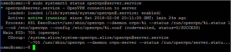 openVPN service started